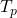  T_p 