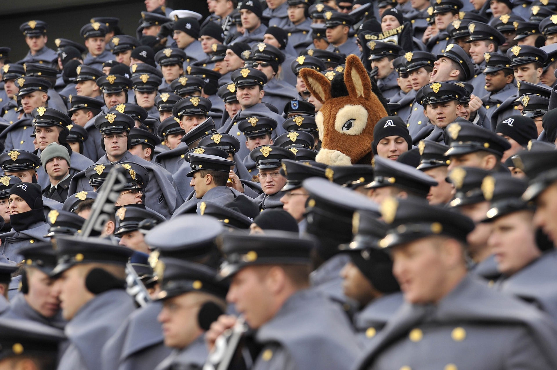 crowd of identically uniformed military personnel and one person in donkey costume in the middle