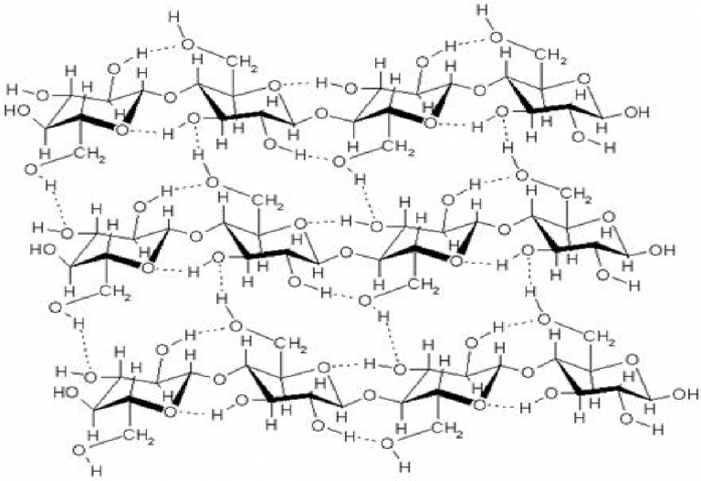 Chapter 7. Introduction to Cells Introduction to Molecular and Cell