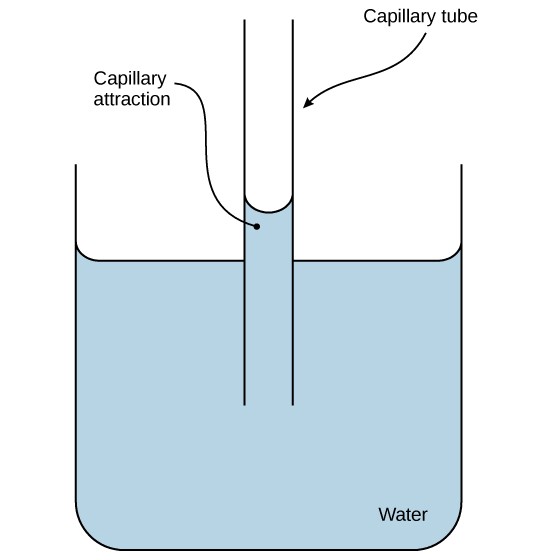 the chemistry of life assignment quizlet