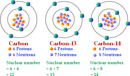 the chemistry of life assignment quizlet