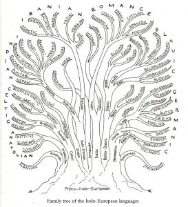 Family tree of the Indo-European languages