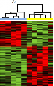 A heatmap. Image description available.