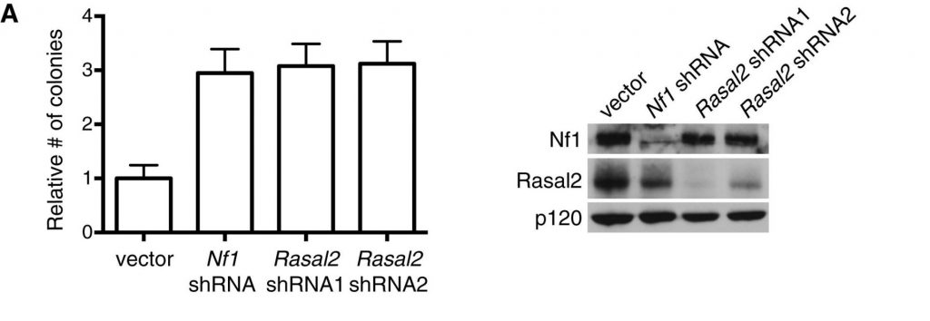 Part of a figure from a scientific paper. Image description available.