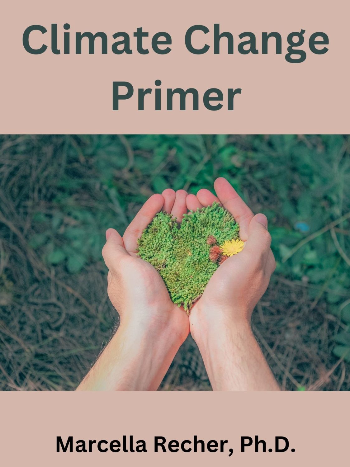 Cover image for Climate Change Primer