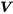 \boldsymbol{V}