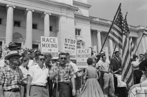 People holding posters and waving flags at a protest rally outside the U.S. Capitol Building are shown.