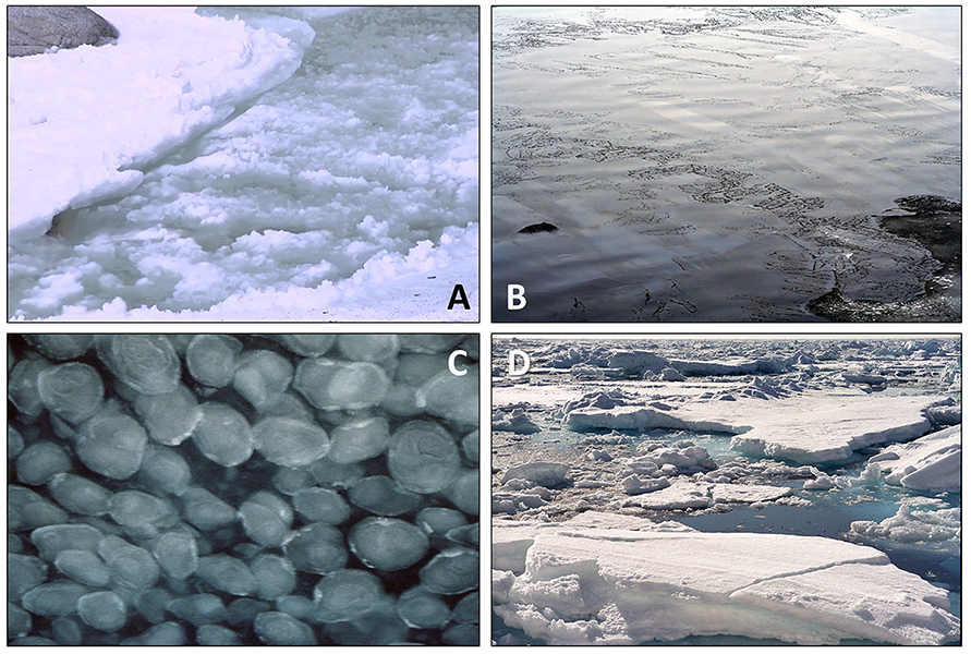 Ice floe, ice formation