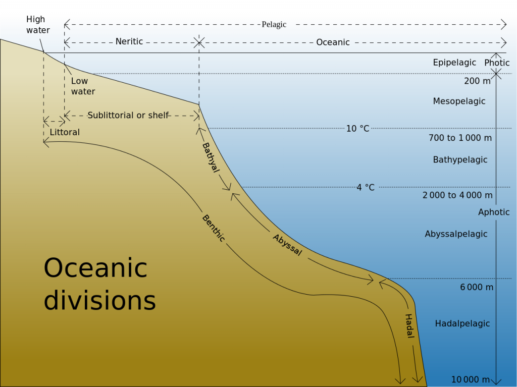 Oceanic_divisions