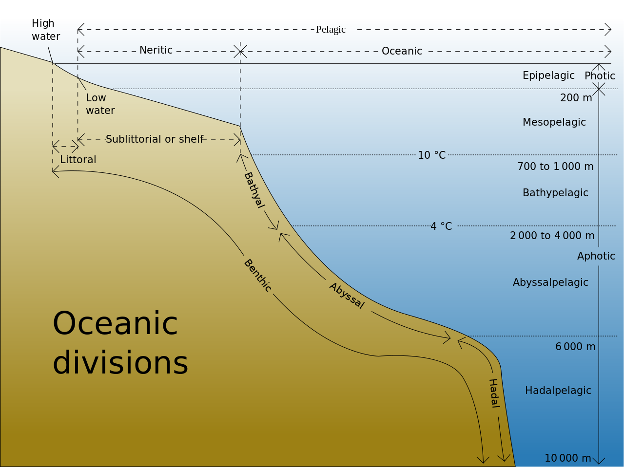 The Zones Of The Ocean