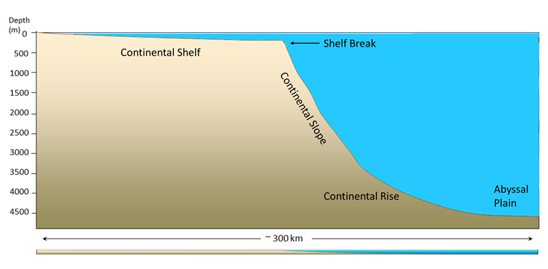 blank continental margin