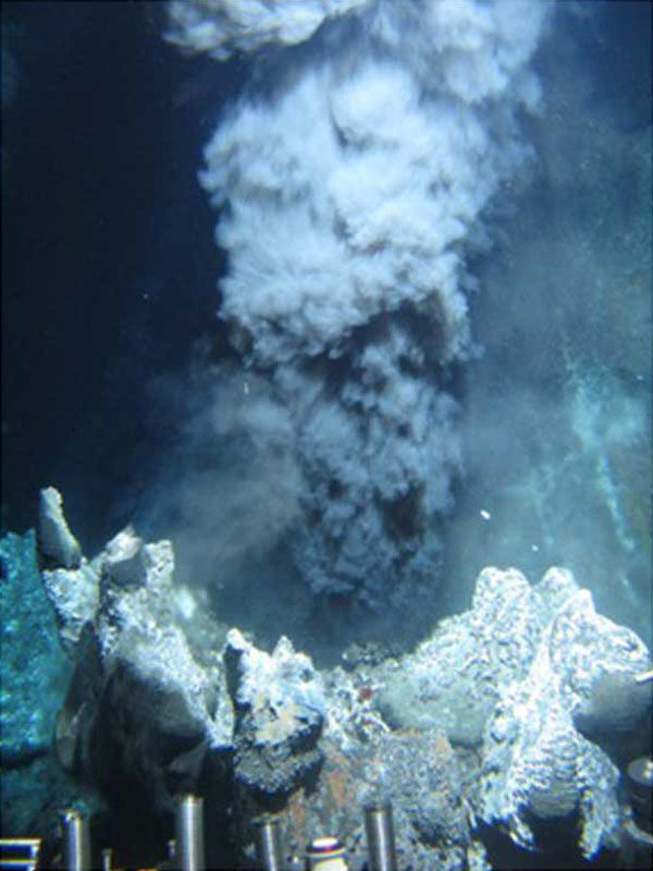 hydrothermal vents