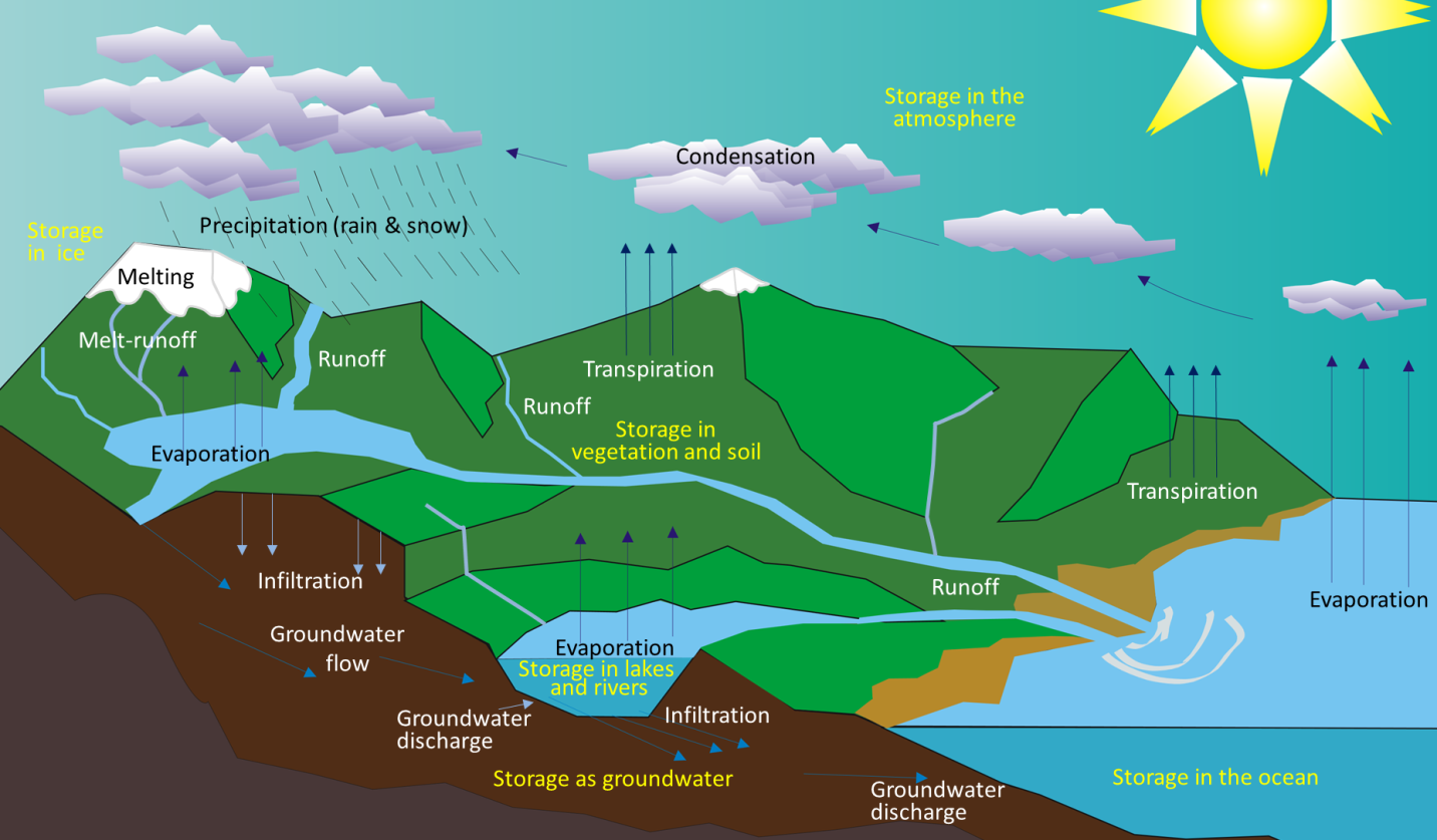 water-cycle-vector-illustration-labeled-earth-hydrologic-process