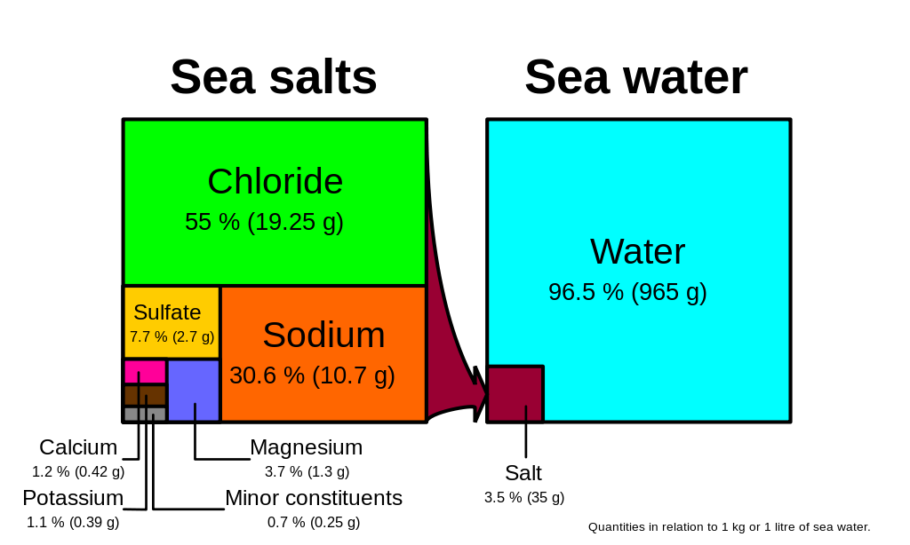 2 section 3 section salt water