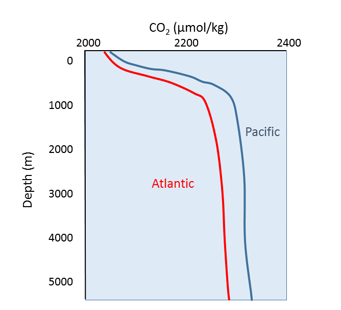 Carbon Dioxide in Water Solubility & Reaction