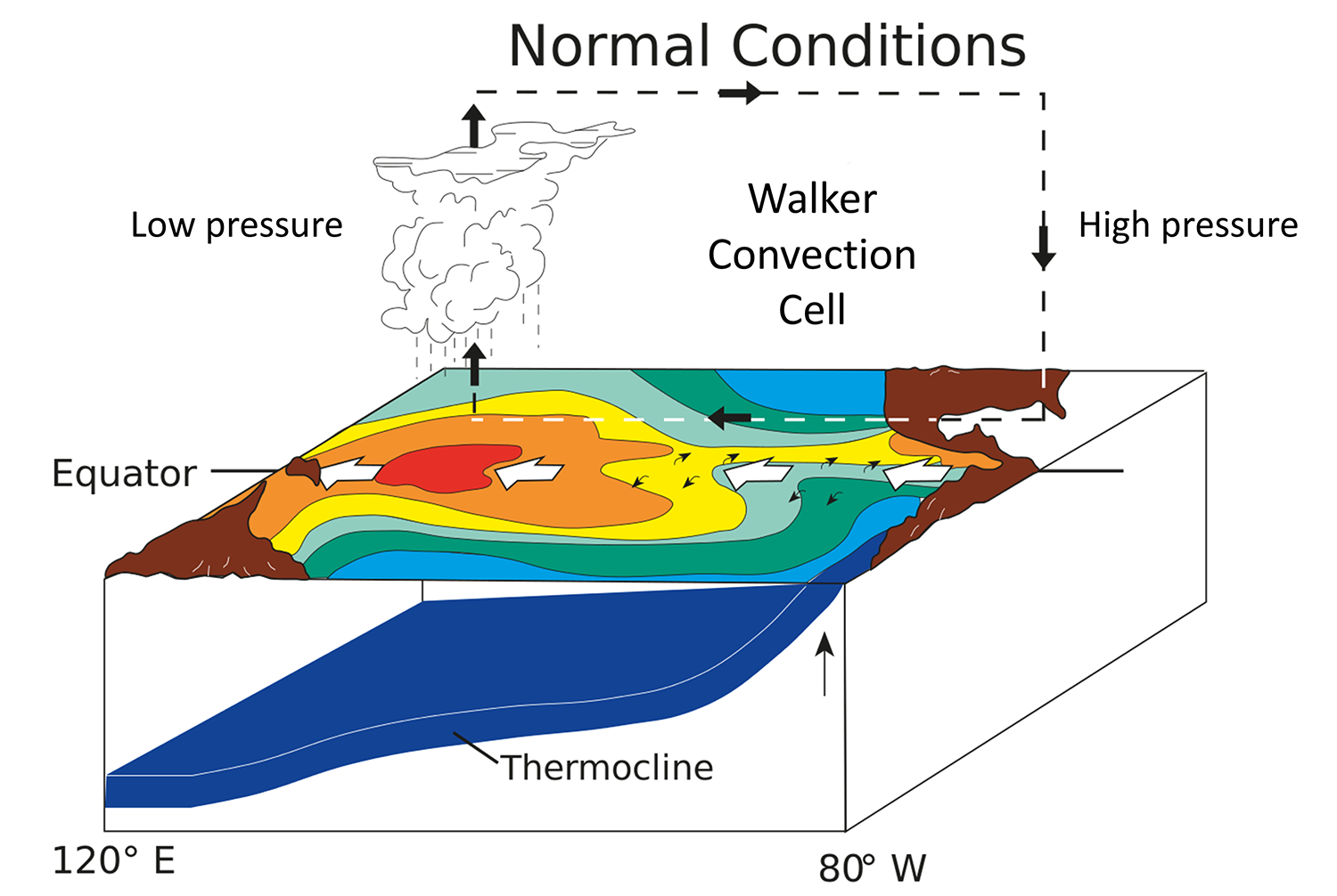 9.6 El Niño and La – to Oceanography