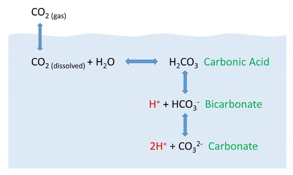 carbonic acid carbon dioxide formula