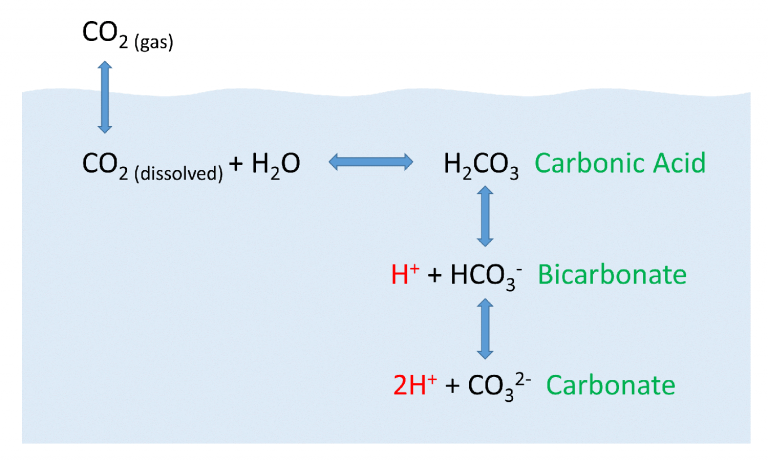 gas carbon dioxide formula