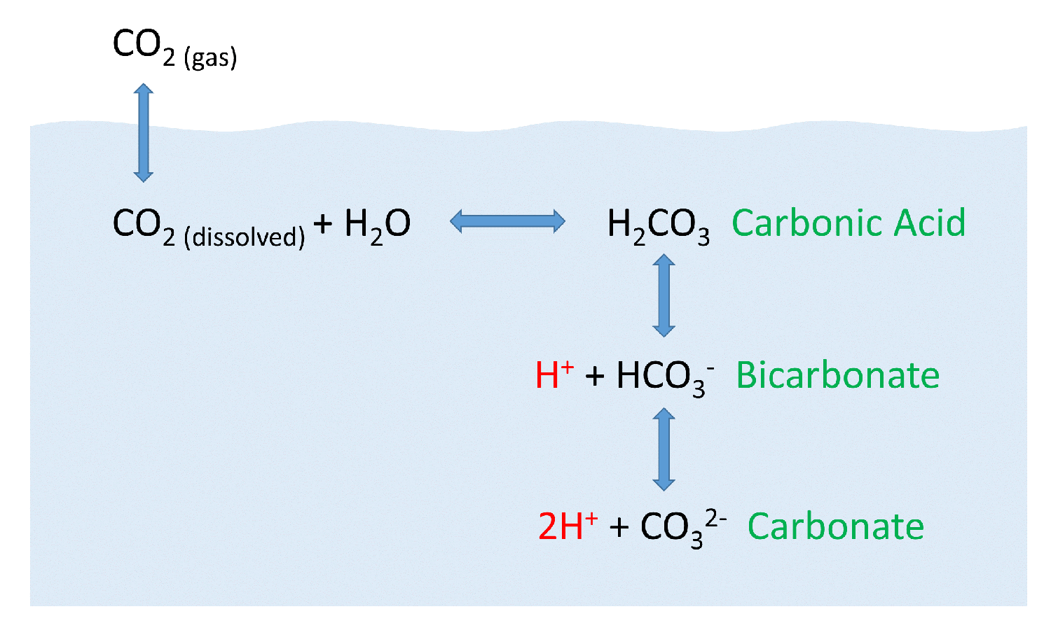 5 5 Dissolved Gases Carbon Dioxide Ph And Ocean Acidification Introduction To Oceanography