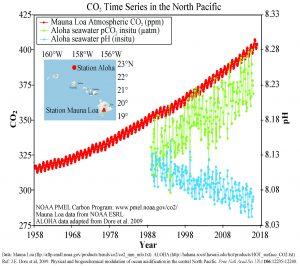 5.5 Dissolved Gases: Carbon Dioxide, pH, and Ocean Acidification ...