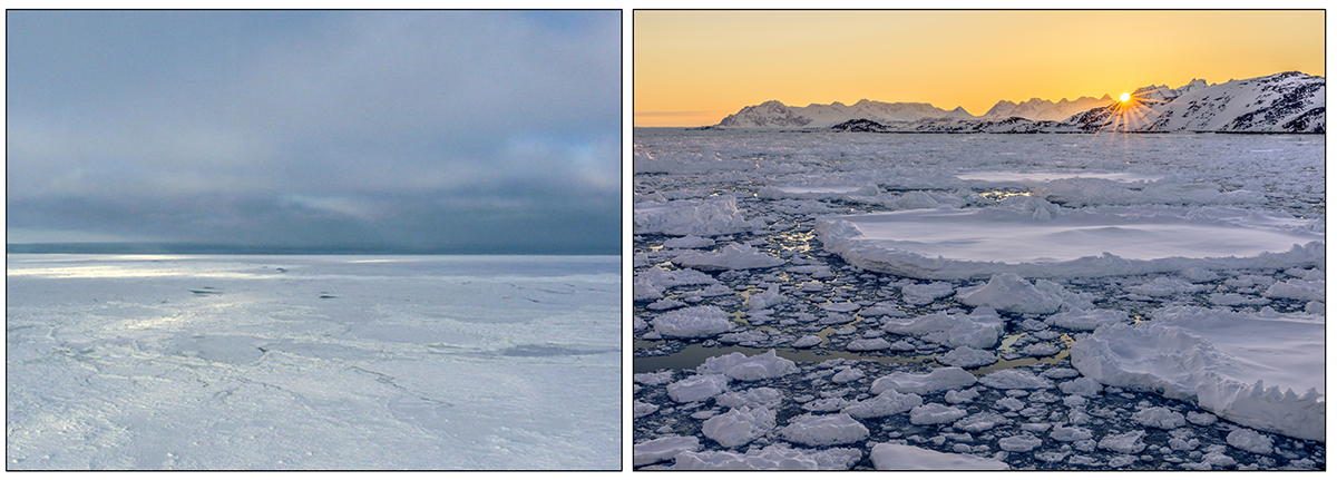 Ice floes, ice sheets and the sea « World Ocean Review