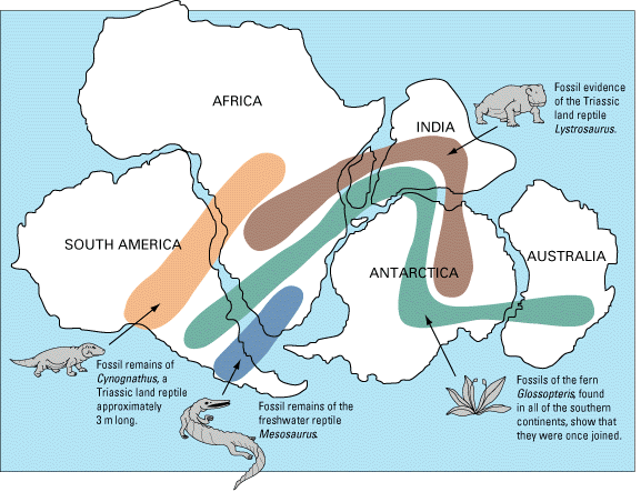 theory of plate tectonics