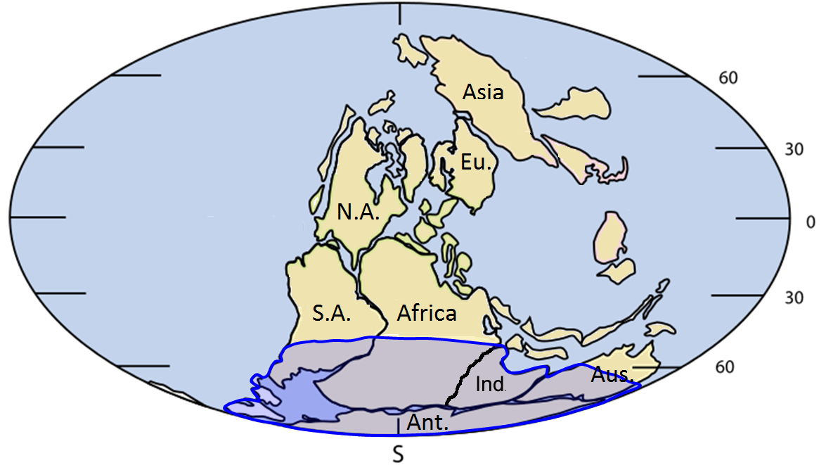 continental drift theory fossil evidence