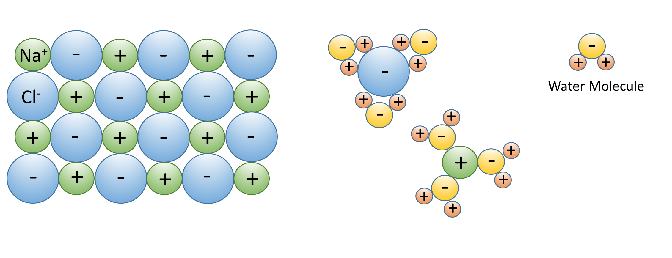 surface tension of water molecules