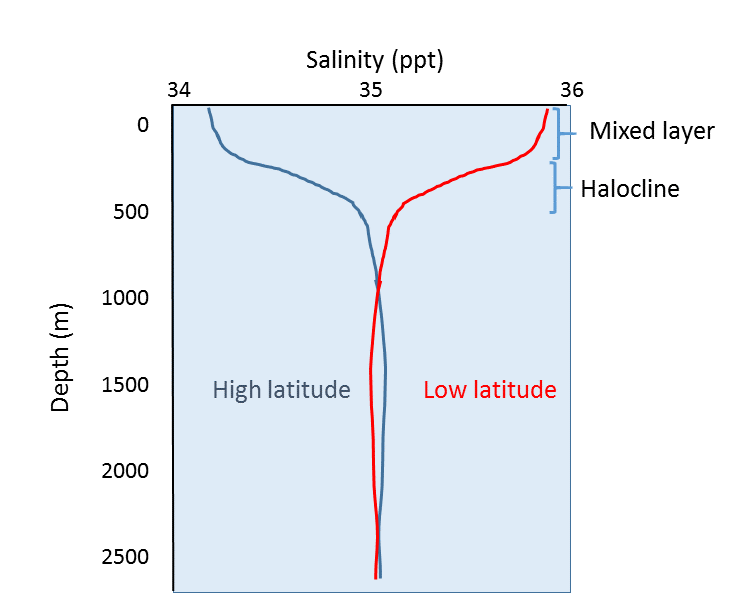 salinity levels in the ocean