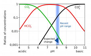 5.5 Dissolved Gases: Carbon Dioxide, pH, and Ocean Acidification ...