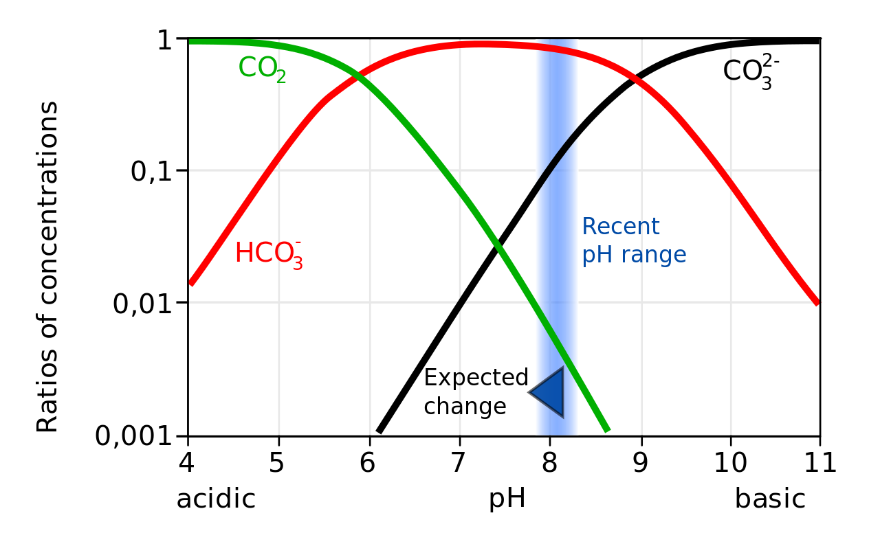 5-5-dissolved-gases-carbon-dioxide-ph-and-ocean-acidification