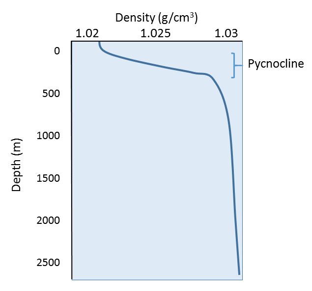 density of salt water