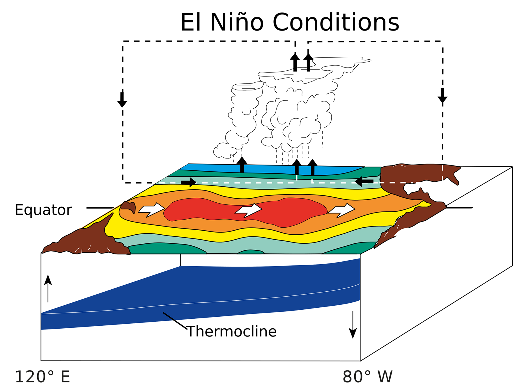 9.6 El Niño and La – to Oceanography