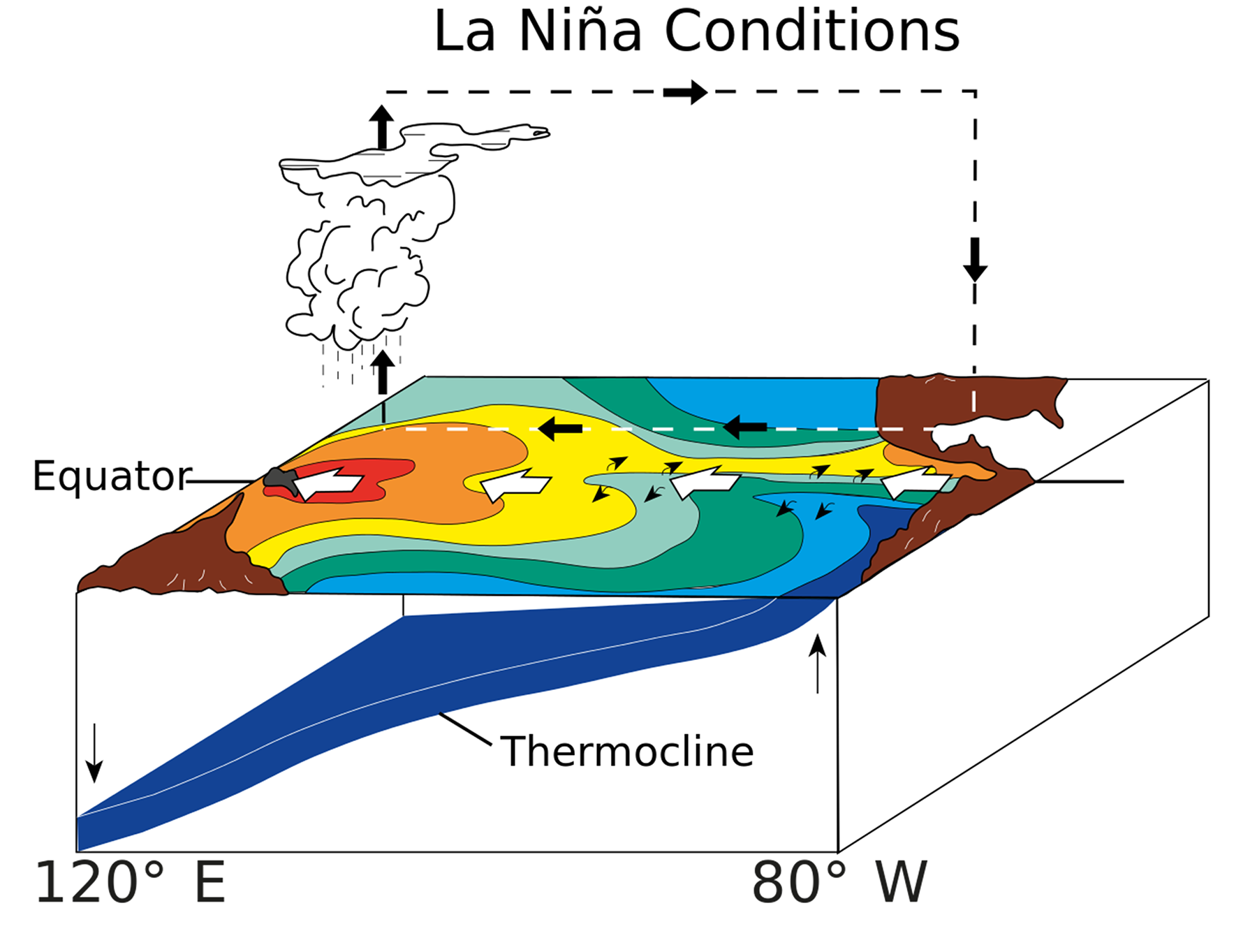 9.6 El Niño and La Niña Introduction to Oceanography