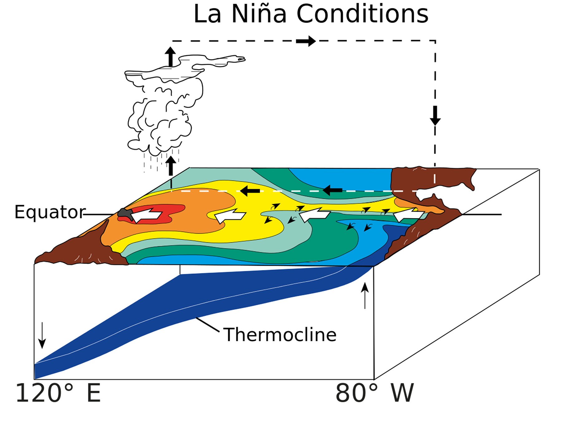 9 6 El Ni o And La Ni a Introduction To Oceanography