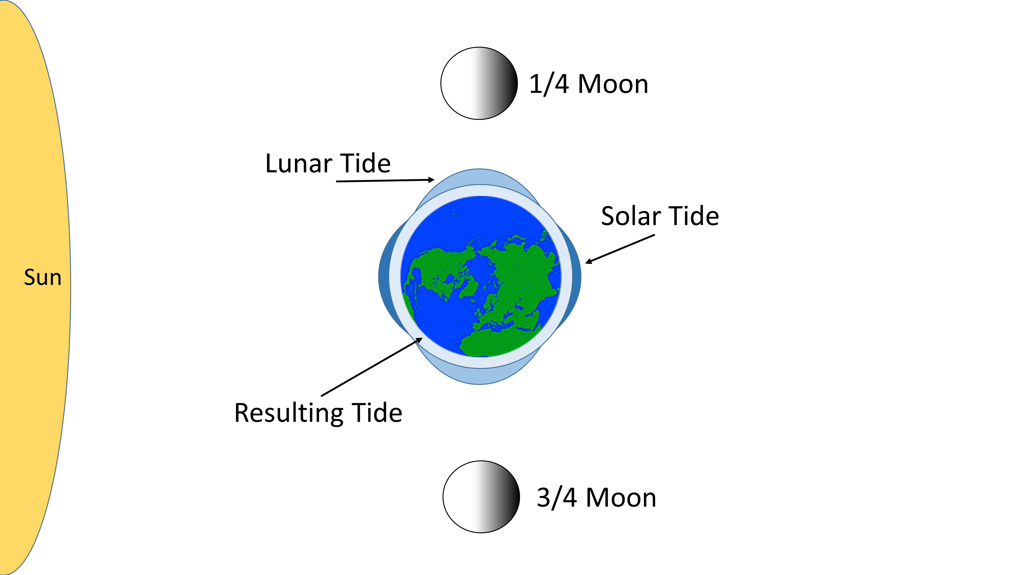 lunar tides are larger than solar tides