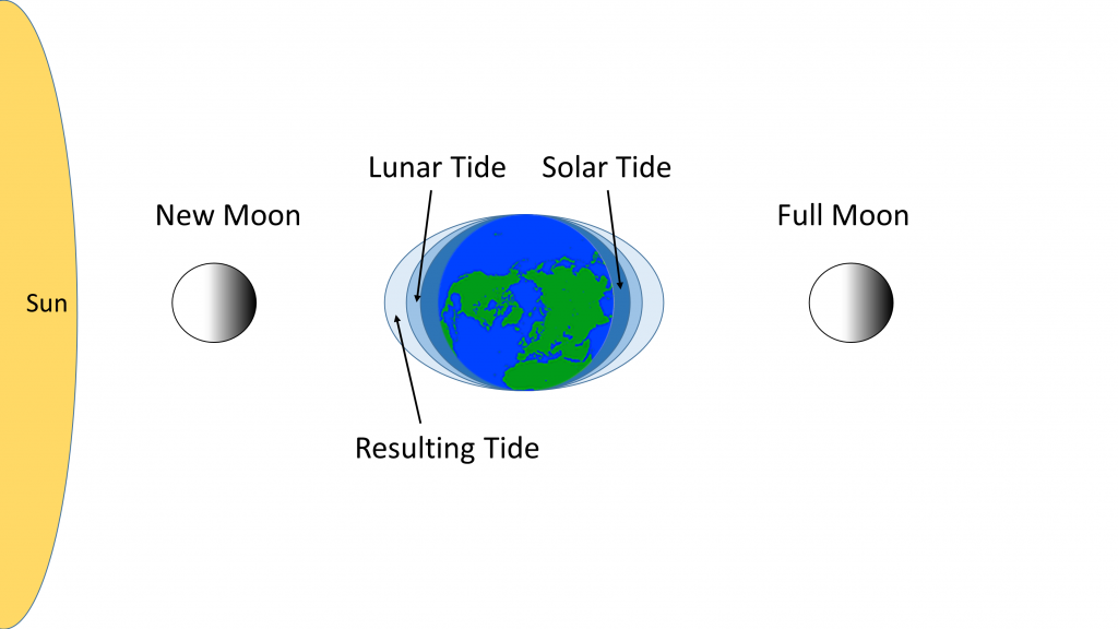 11.1 Tidal Forces – Introduction to Oceanography